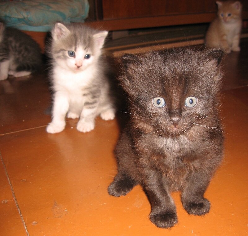 Фото автора