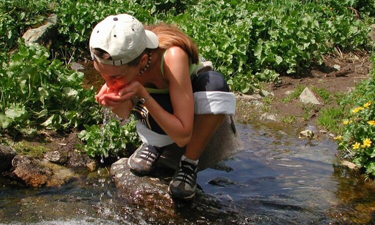 Пить воду из родника