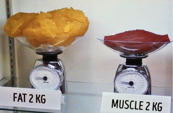 Как выглядит килограмм жира
