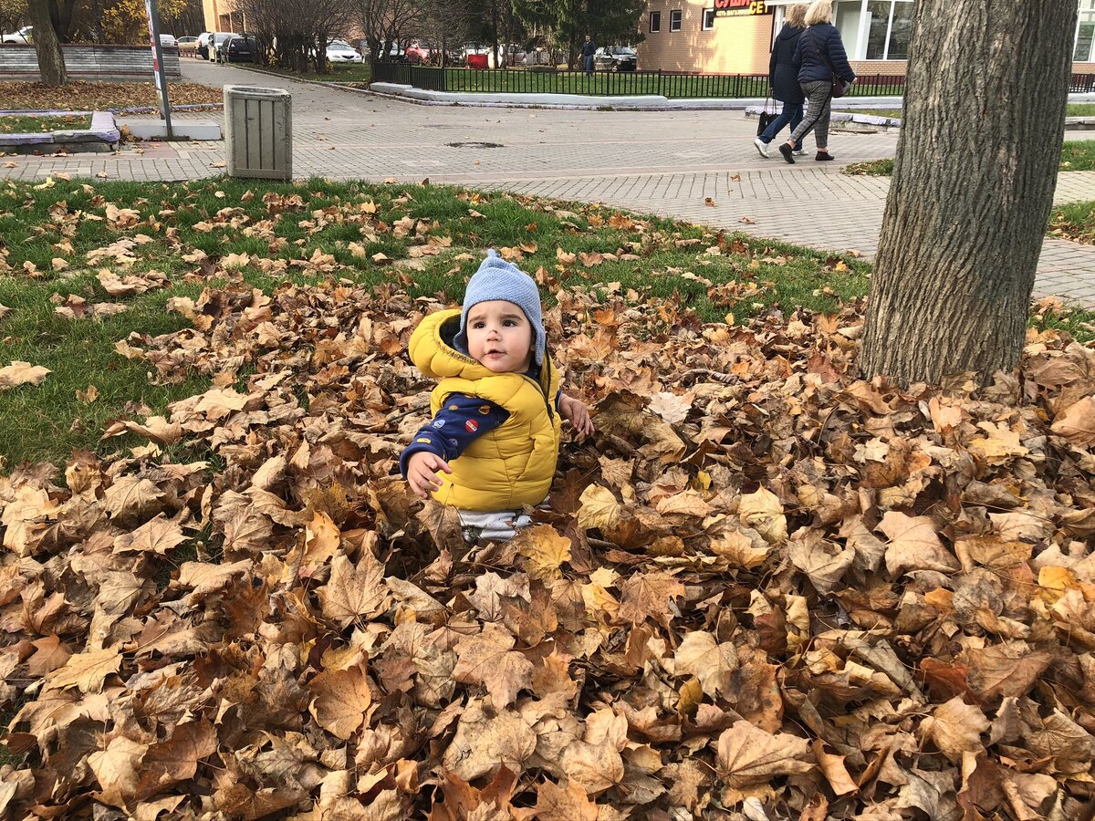 Упал случайно в листья :)