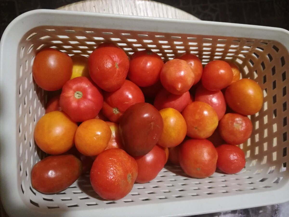 Как же вкусны эти последние в сезоне свежие помидорки!