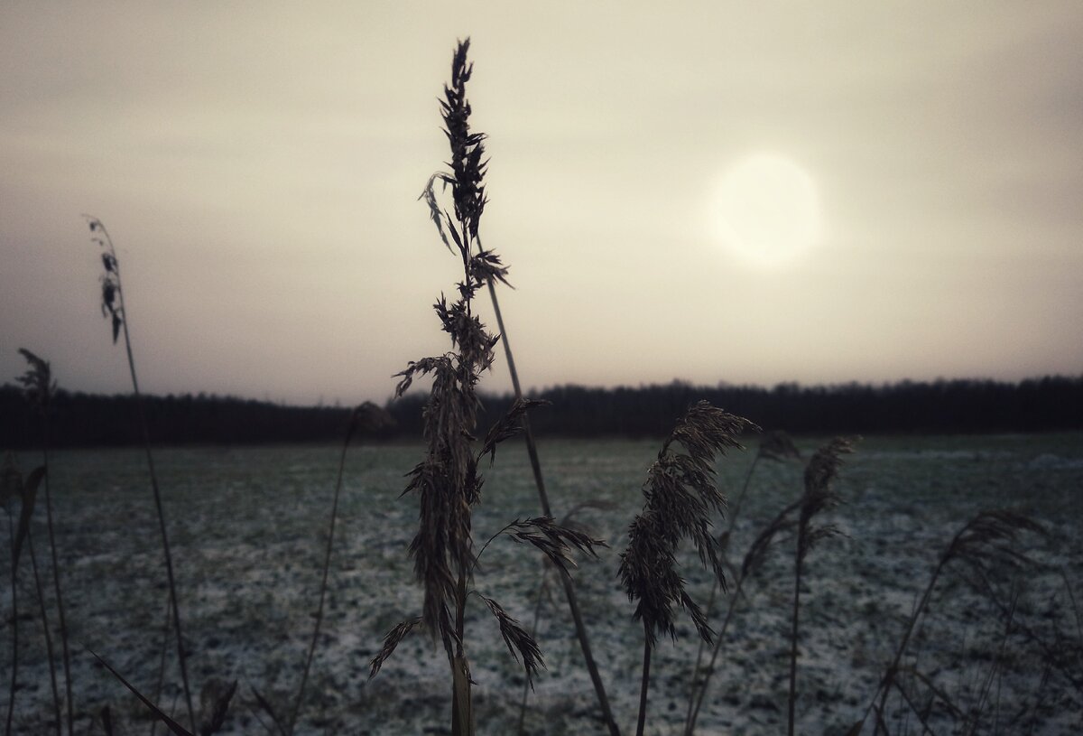 Утро после порывов ветра 