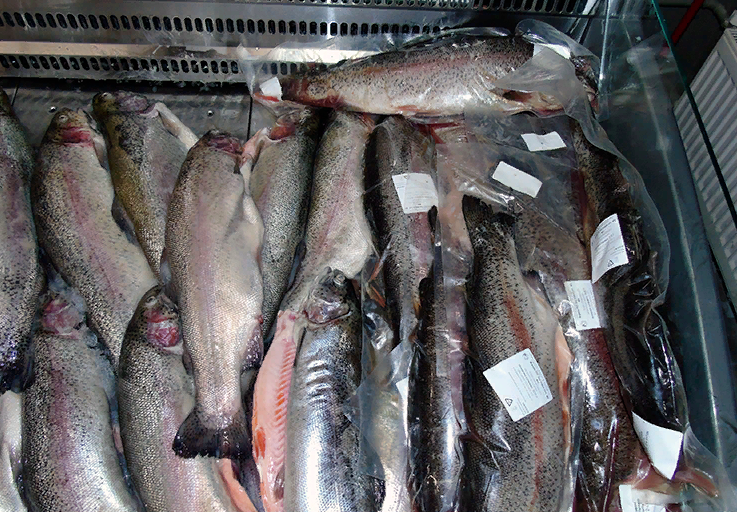 Примерная витрина