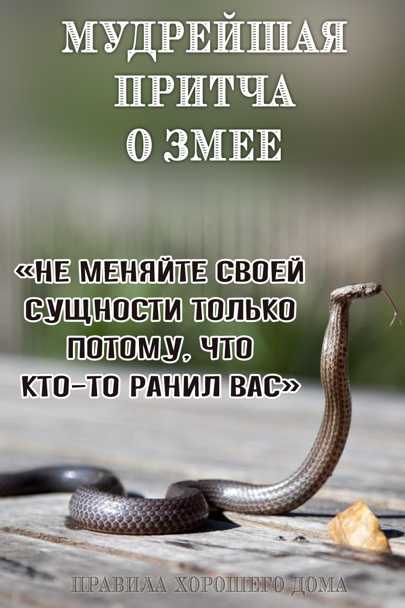 Яндекс. Картинки.