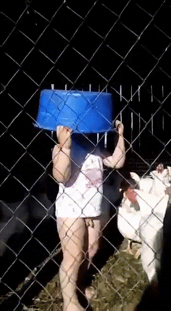 Источник Яндекс гифки