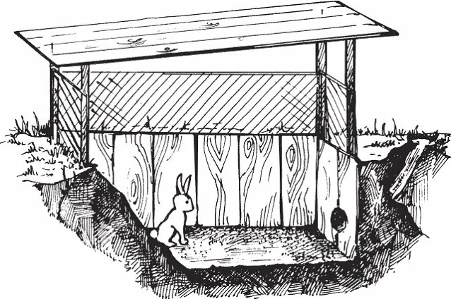 Схематичное изображение ямы для кроликов. 