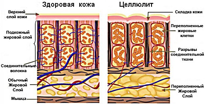 рис. 1