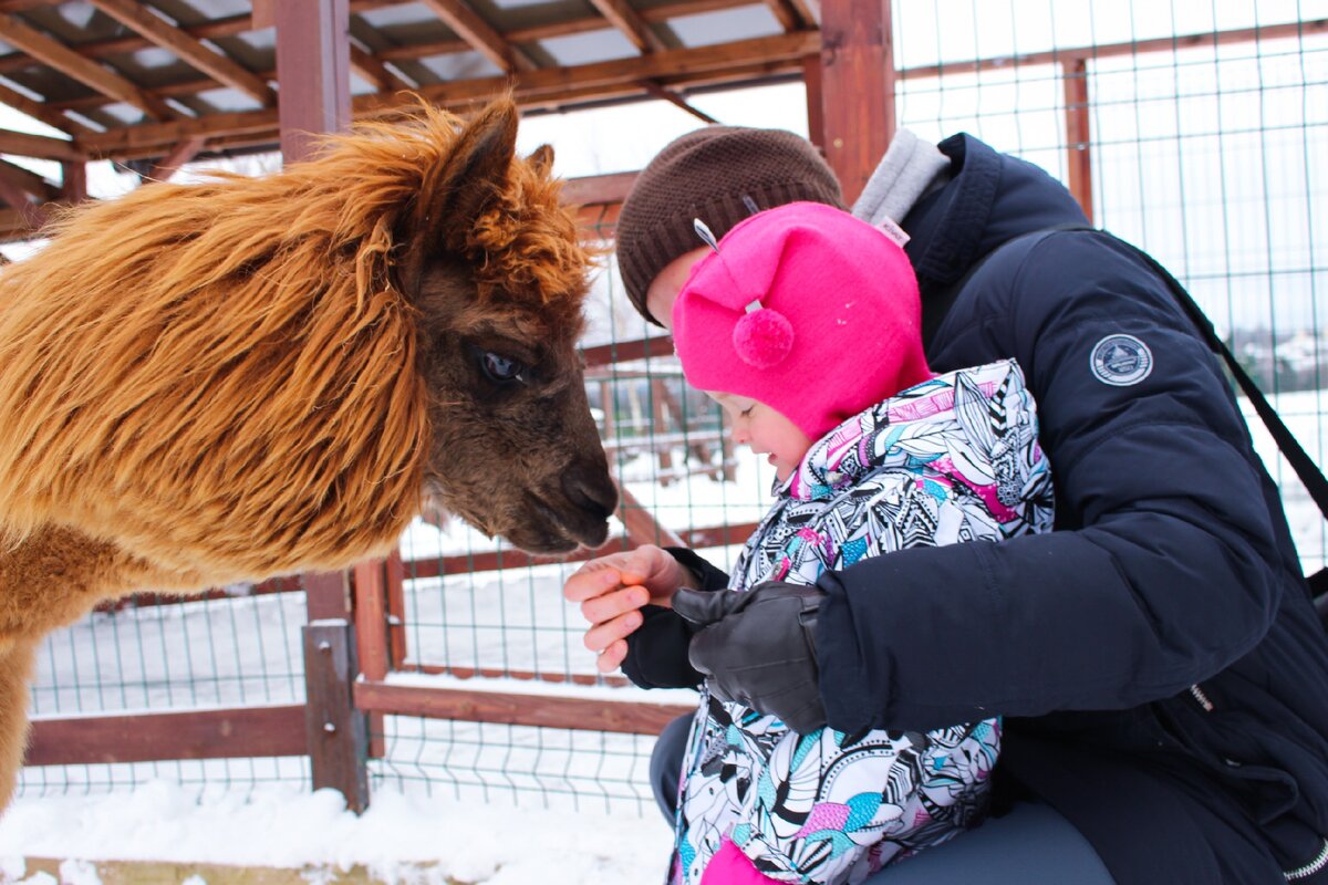 Осторожное знакомство. Фотография автора