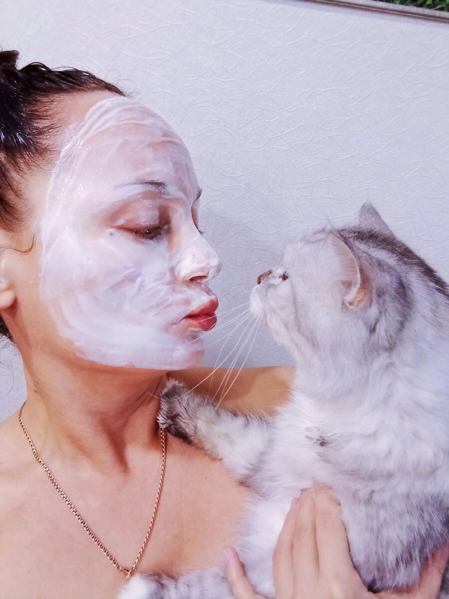 Кот получил твердый отказ