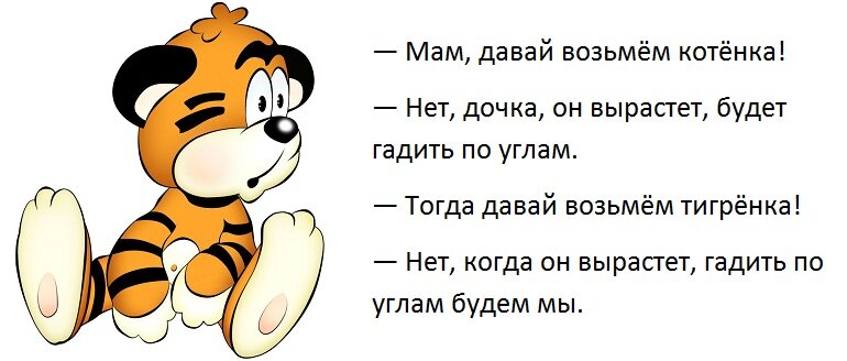 Анекдоты про котов: 50+ шуток, которые поднимут вам настроение