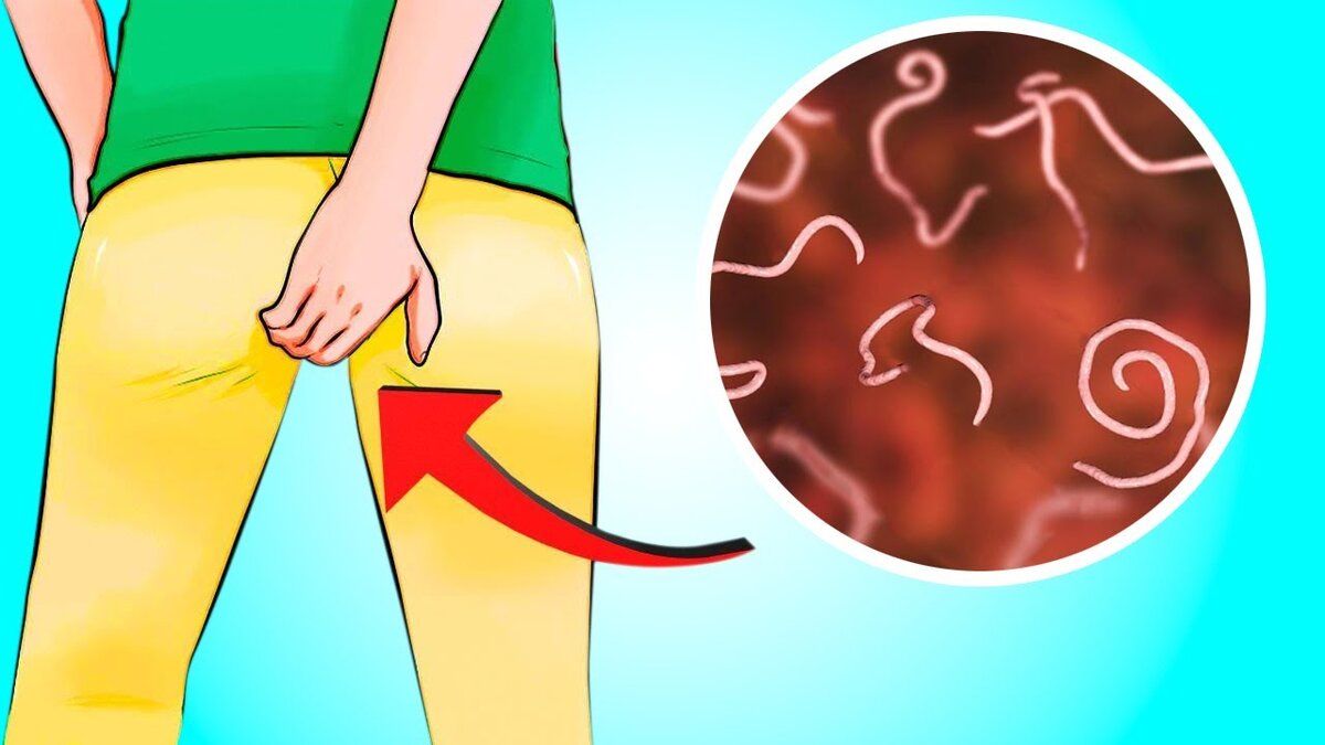 Фото взято из открытого источника