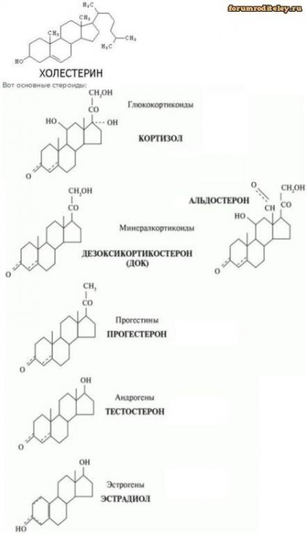 Стероиды 
 