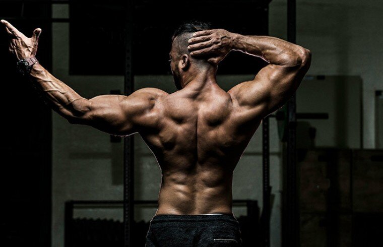 Тренировка мышц спины способствует развитию её знаменитой V-образной формы, которая делает талию и бедра визуально уже, тем самым фигура выглядит более эстетично. Мышцы спины относятся к крупным, что делает их хорошо заметными и одними из главных в бодибилдинге. Выполнение упражнений для мышц спины является обязательным условием в любом виде спорта, так как они формируют правильную и красивую осанку, а также играют главную роль в стабилизации мышц позвоночника.