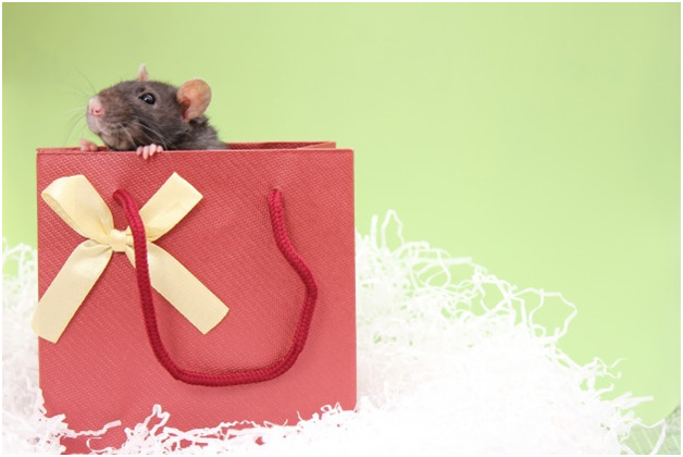 Подарок для малыша. Фото из открытого источника