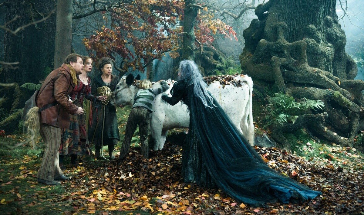 Фото с сайта Яндекс картинки.