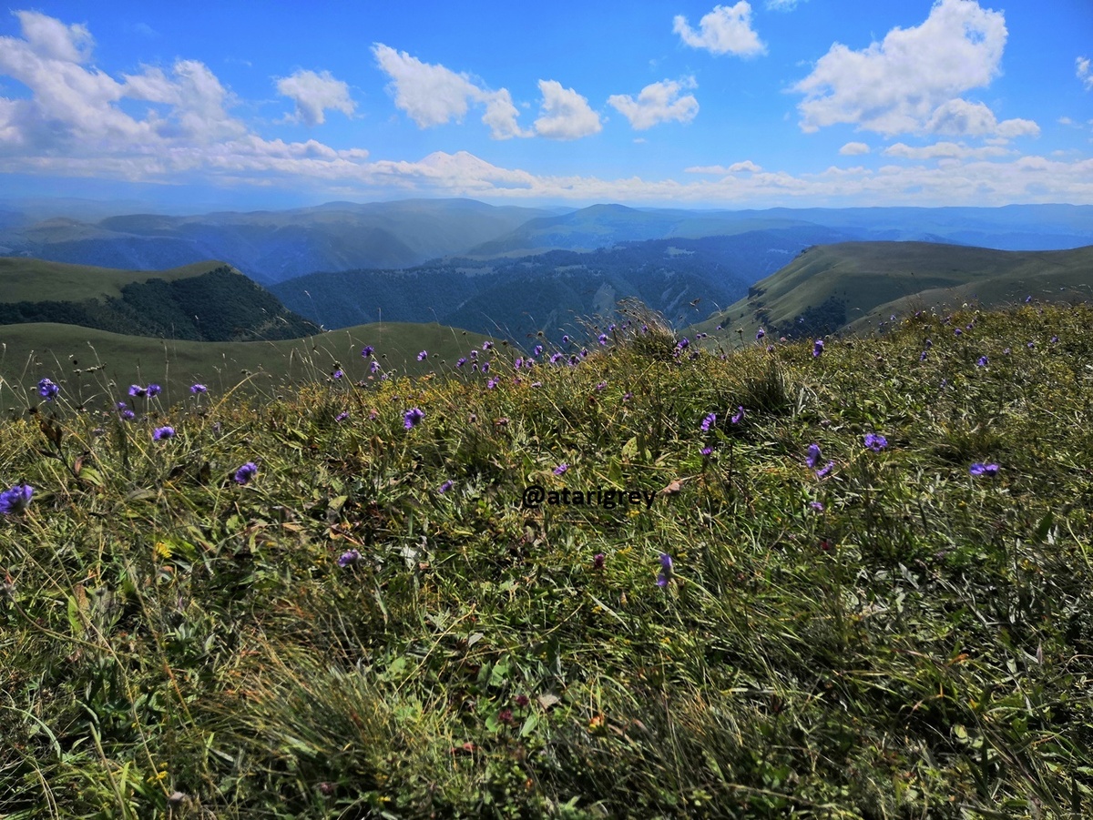 фото автора! 