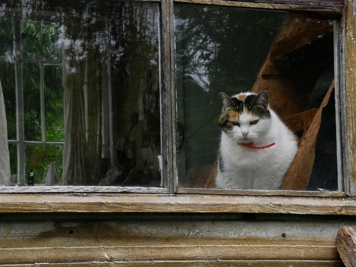 Фото С. Подгоркова