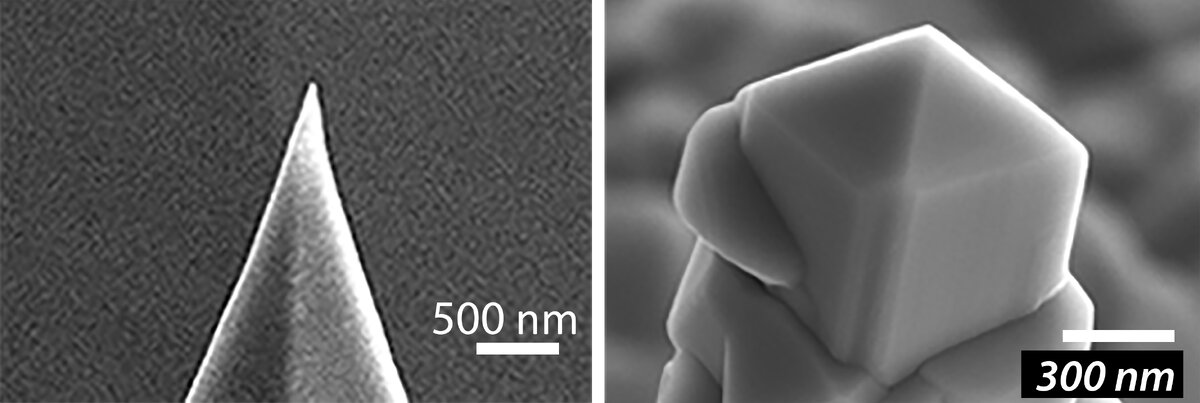 20 февраля 2020