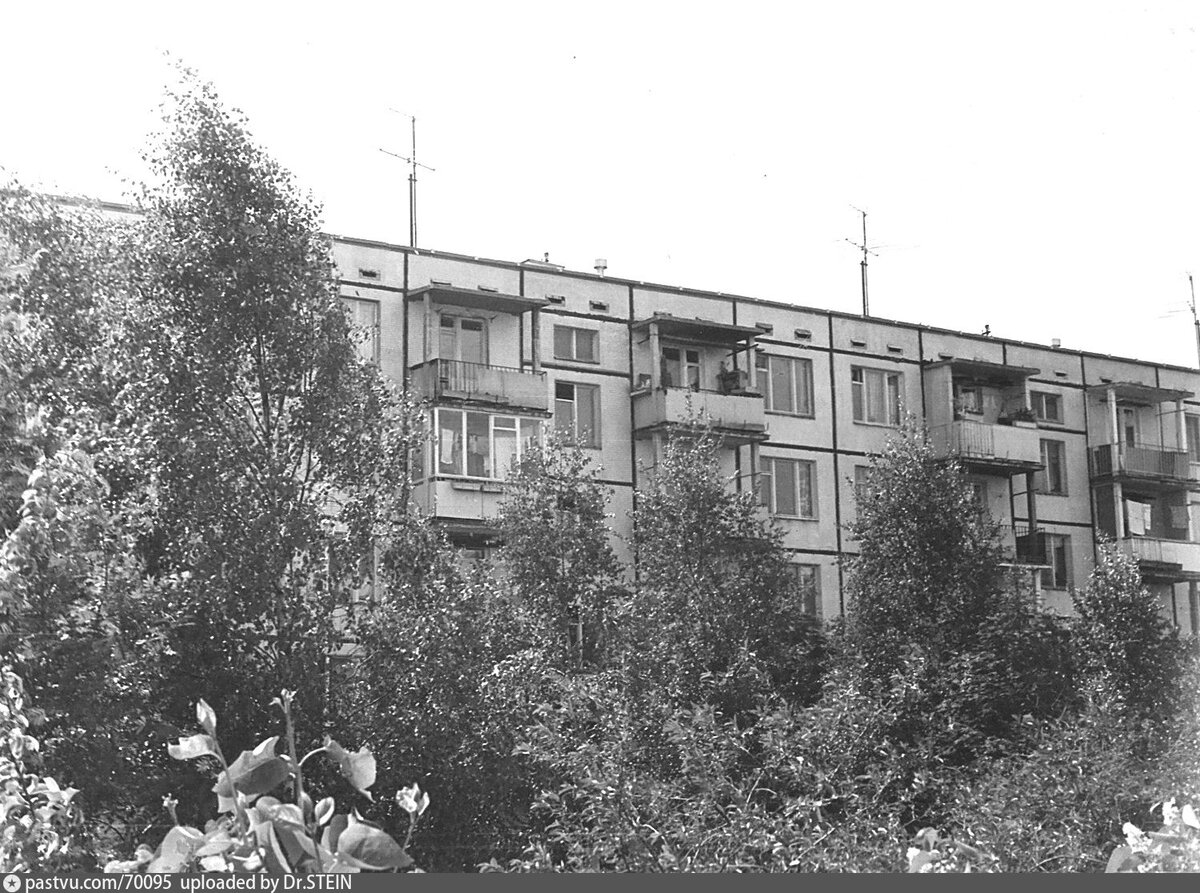 Зеленые дворы пятиэтажек. Улица Дыбенко, 14, 1976 - 1979 г. Источник: семейный архив  Dr.STEIN.