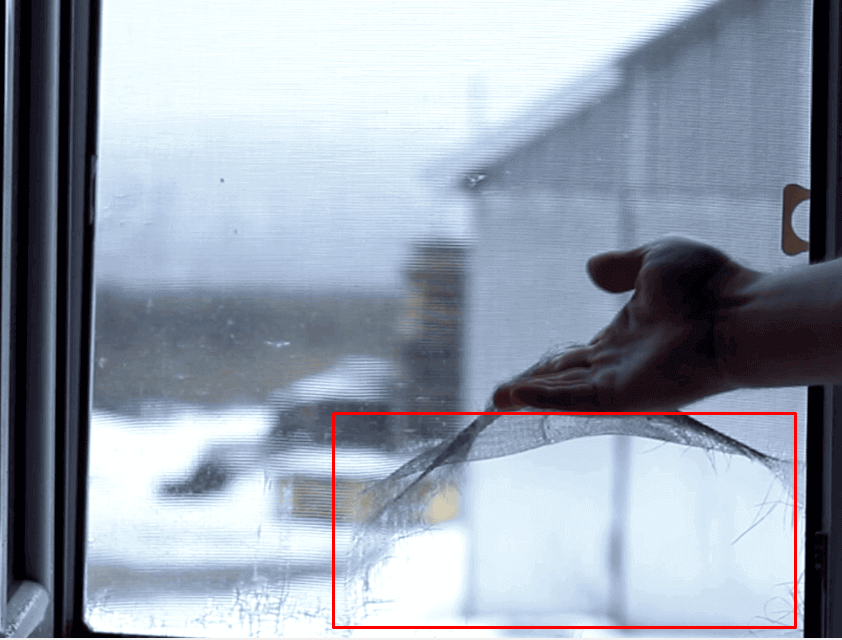 Порванная котом москитная сетка