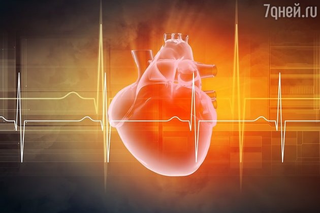 Фото: LEGION-MEDIA