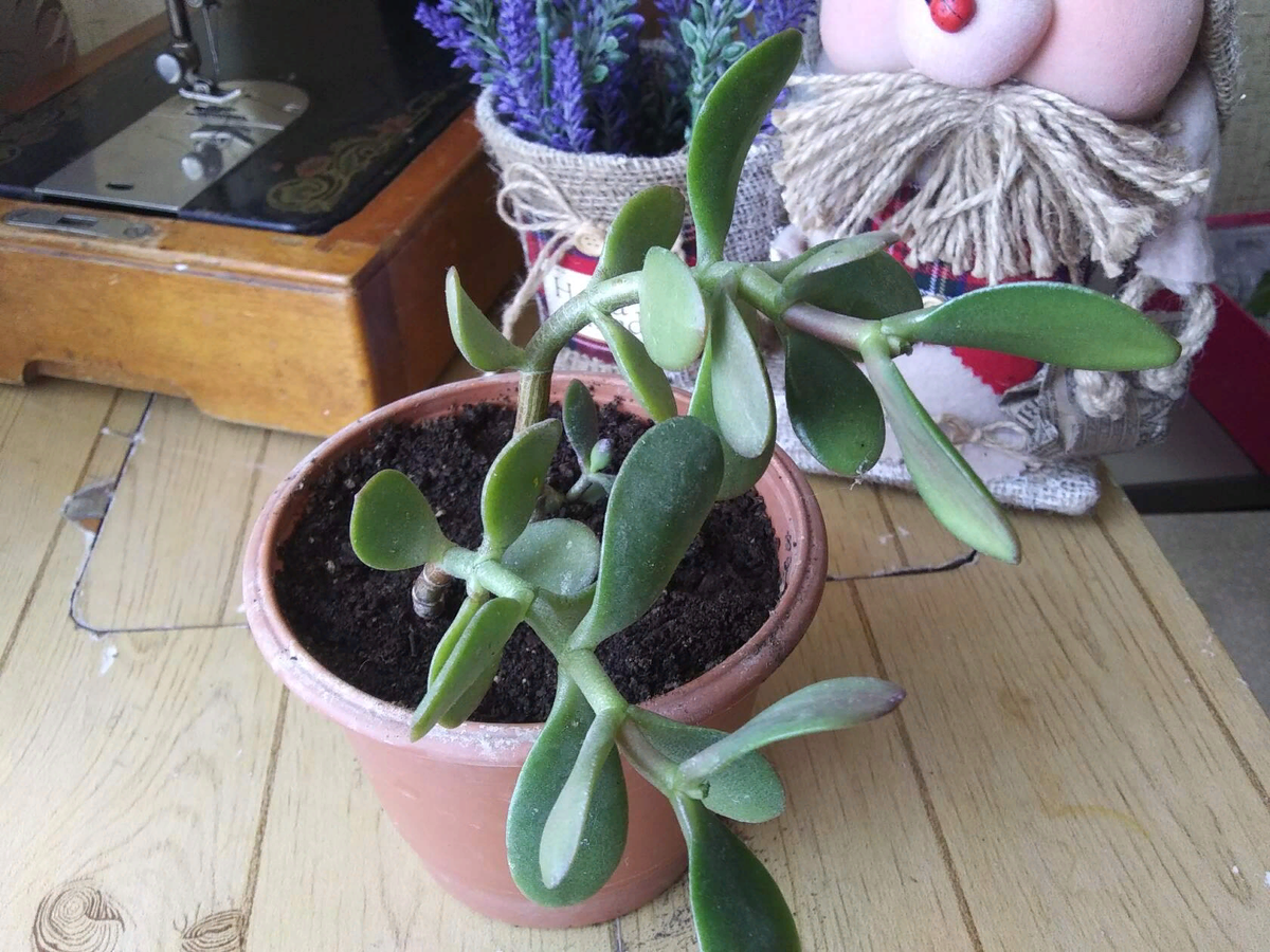 Фото автора от 18 марта