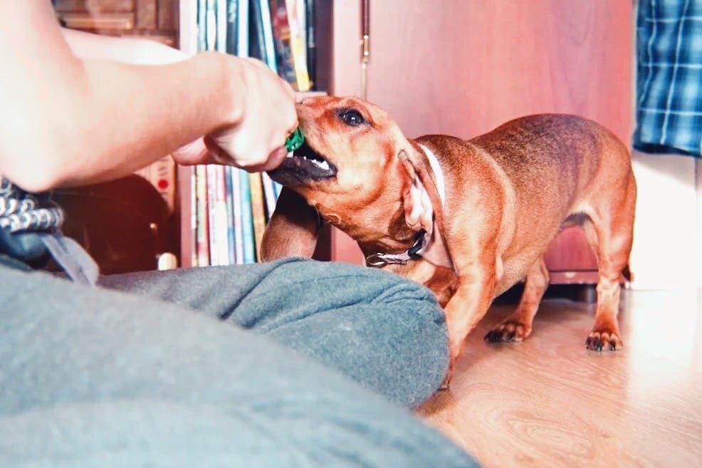 фото из личного архива