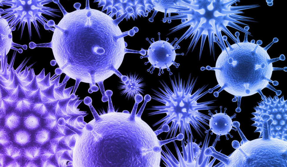 Фото вируса 