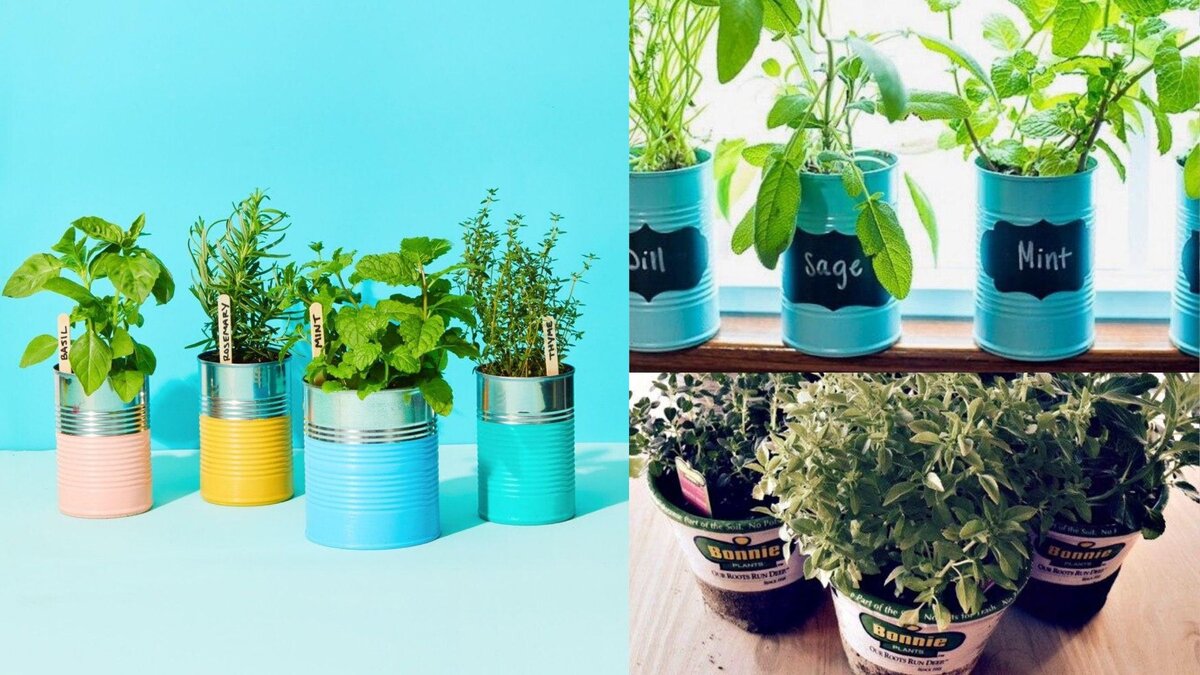 Коллаж из фотографий с Пинтерест по запросам "Home Garden", "Kitchen windows garden".
