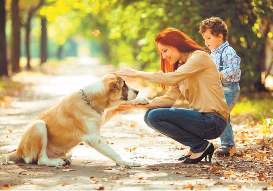 http://canis-vet.wp-content/uploads/2020/02/%D0%A1%D0%BE%D0%B1%D0%B0%D0%BA%D0%B8-%D0%94%D1%80%D0%B5%D1%81%D1%81%D0%B8%D1%80%D0%BE%D0%B2%D0%BA%D0%B0-%D0%92%D0%BE%D1%81%D0%BF%D0%B8%D1%82%D0%B0%D0%BD%D0%B8%D0%B5-445.png