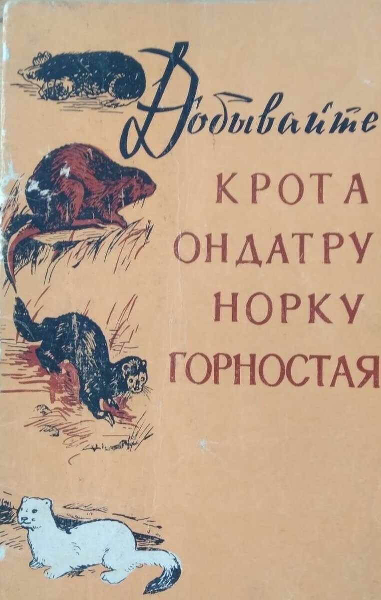 Охота на крота: зачем нужен нож? | Окские Ножи | Дзен