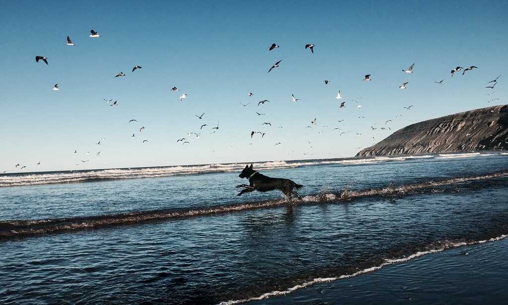 После прочтения этого текста ты "владелец" свой жизни!
