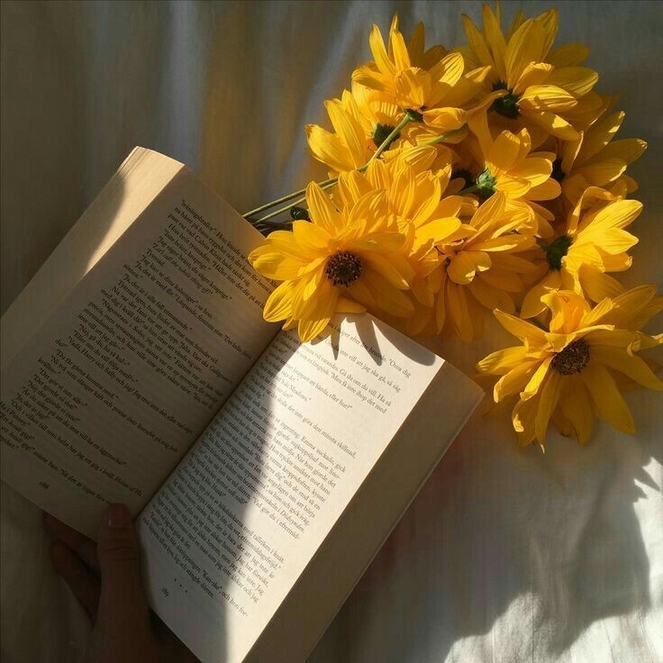 Pinterest