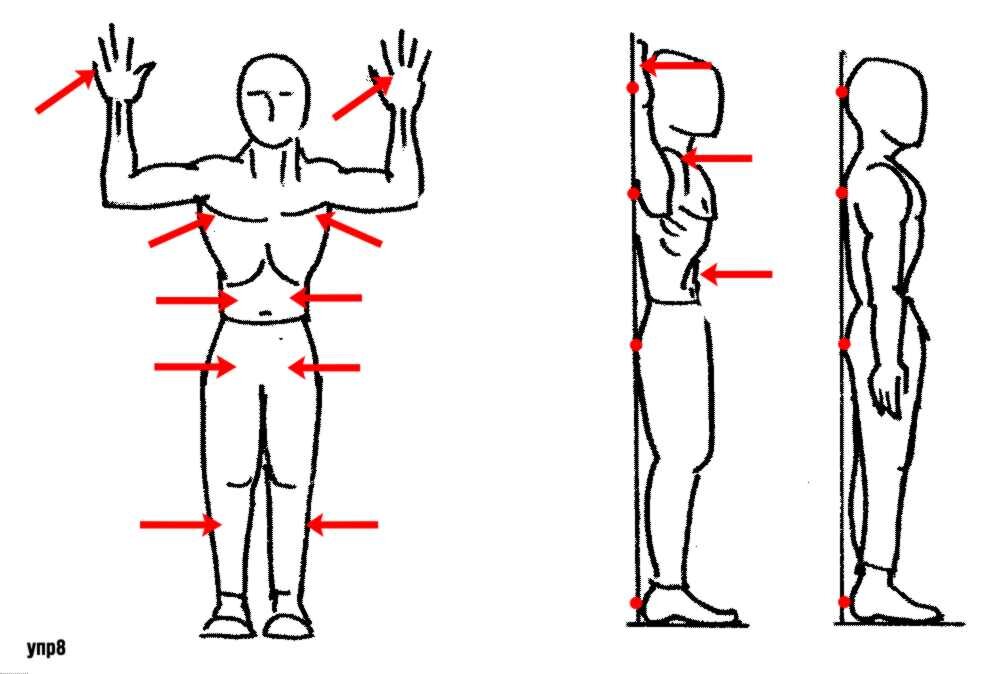 Поднятие правой руки. Упражнение для осанки у стены. Упражнения для выпрямления осанки. Упражнения для ровной осанки. Тренировки для выправления осанки.