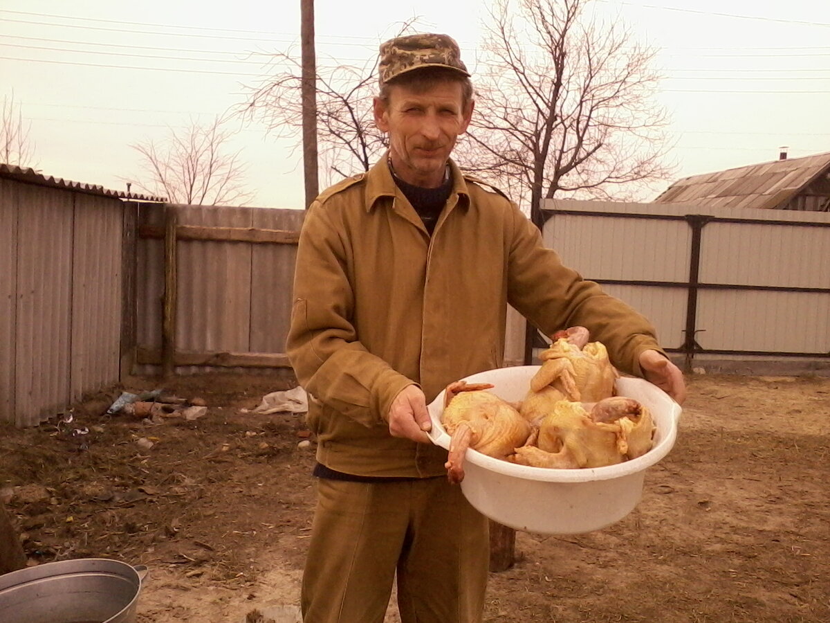 фото 2015 года