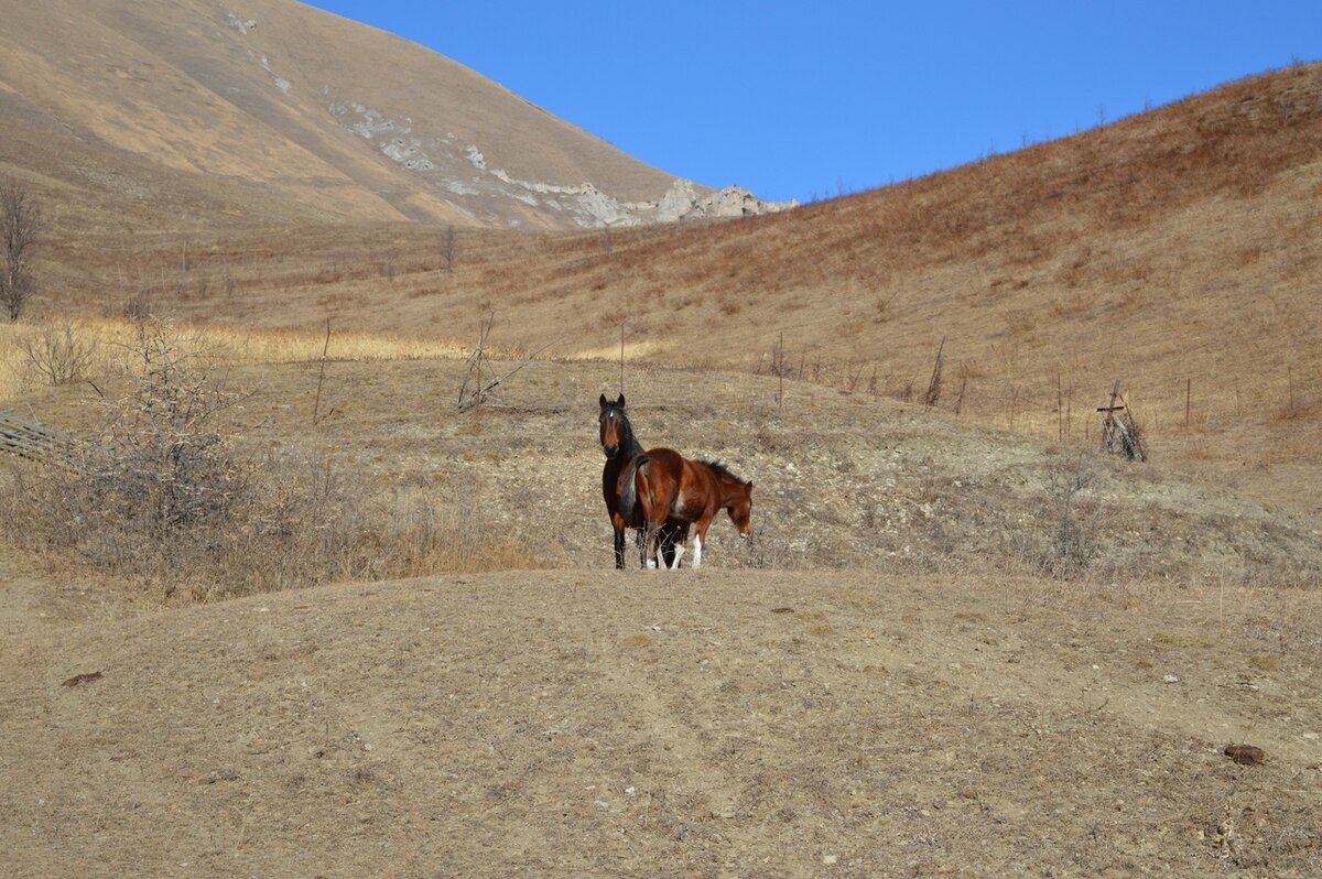 © МИР В ОБЪЕКТИВЕ/ СЕ ЧЕЛОВЕК