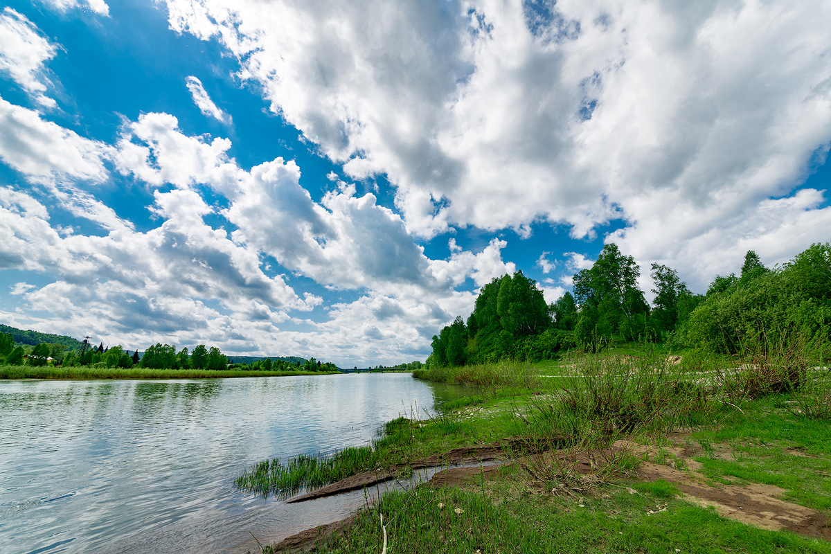 West coast of the Kondoma river.