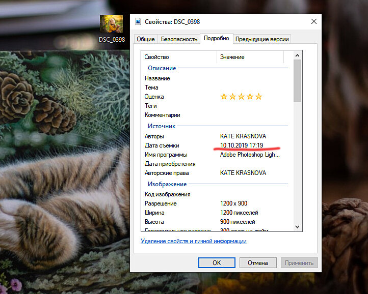 Как узнать дату съемки фотографии