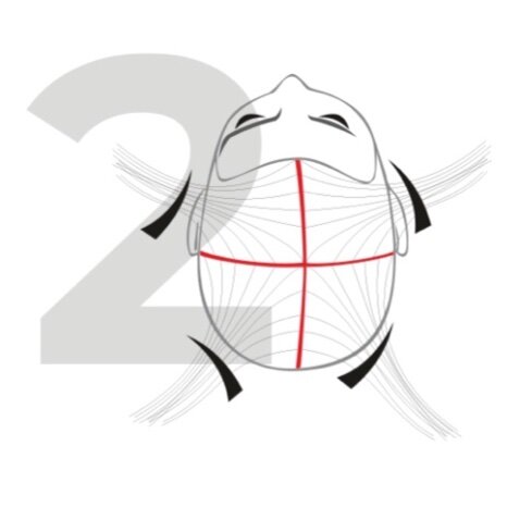 -2