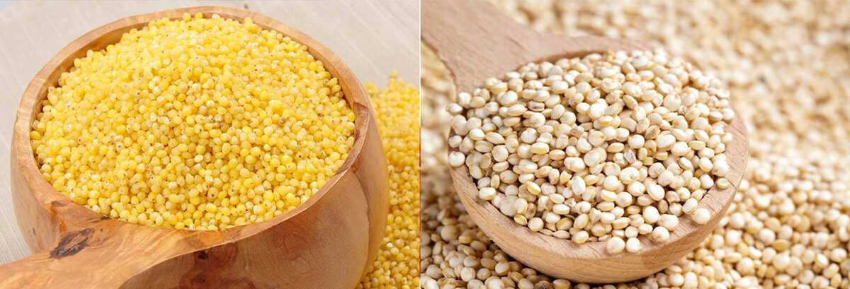 Пшено vs Киноа