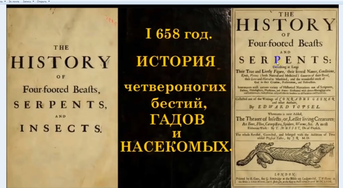 Изображение из открытых источников