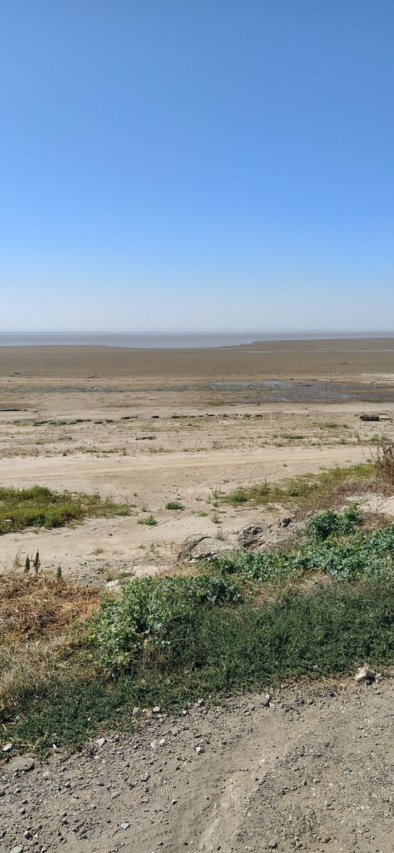 фото автора. от 07,09,2020 года