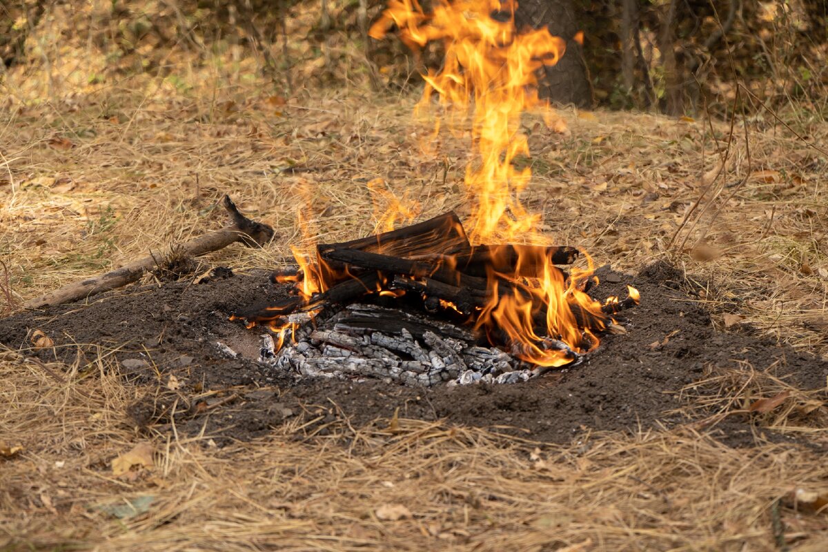 Обгоревшие стены - к несчастью.