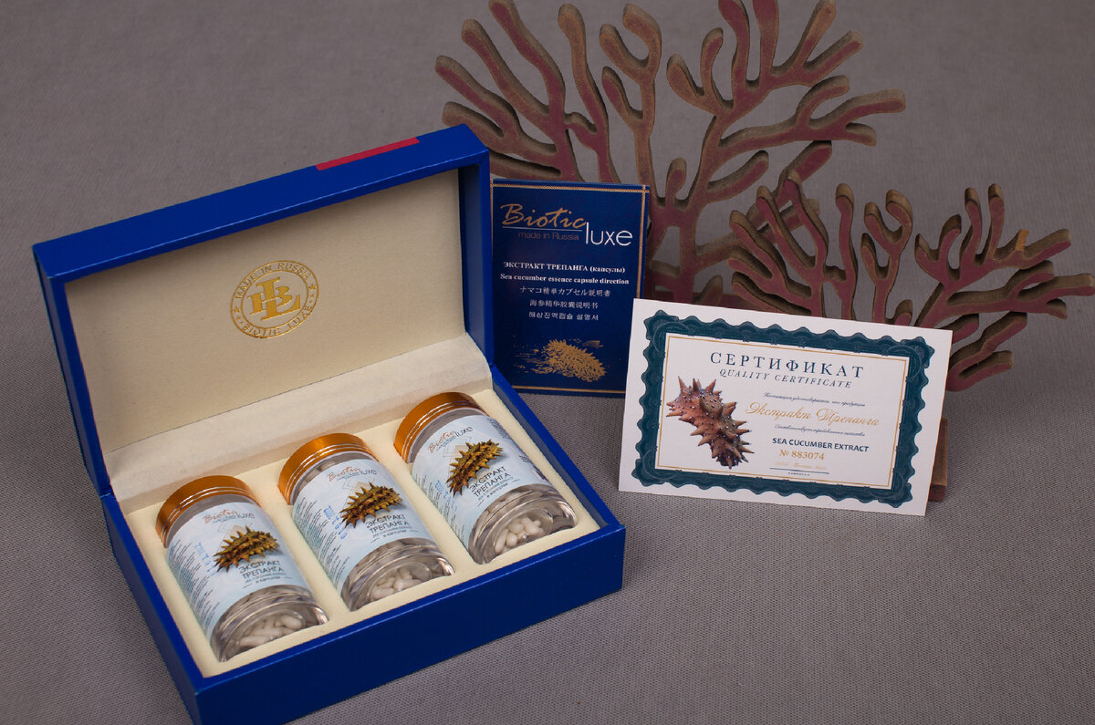 Подарочный набор в упаковке из экокожи, сертификат, инструкция, подарочный пакет 