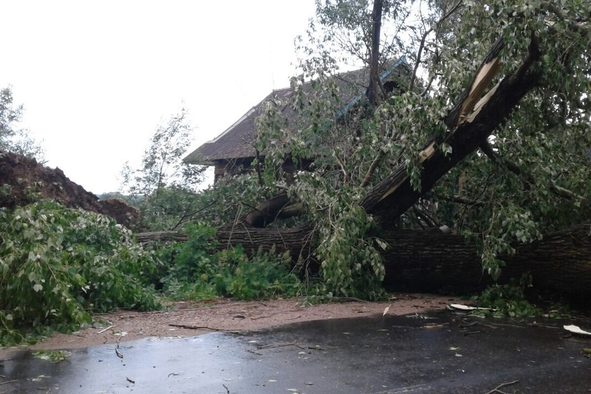 Фото из открытого источника.