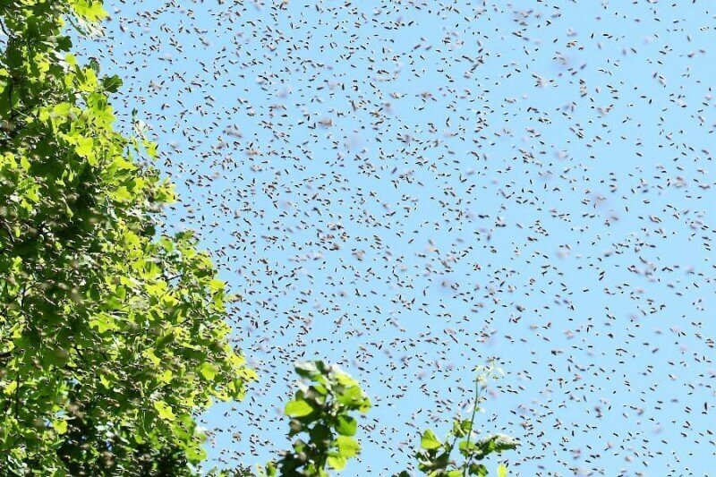 Изображение взято из интернета