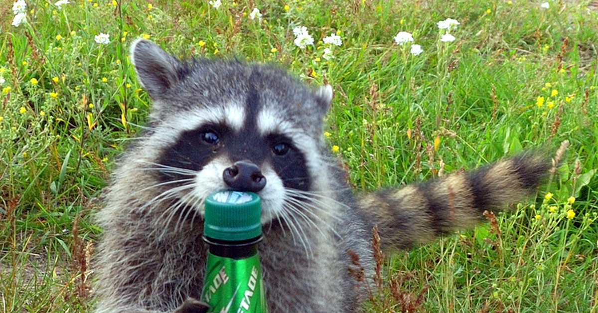 Мне открылась радость жизни!!!