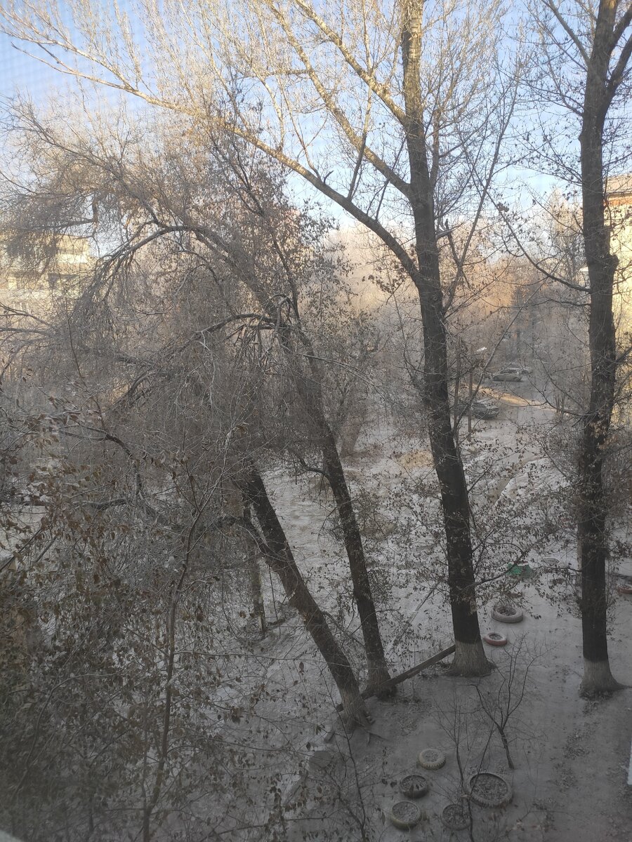 Тем временем за окном