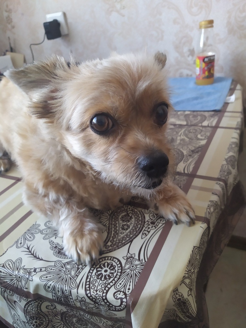 Девушка у меня очень хорошо улавливает мое настроение