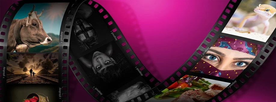 Фотография с бесплатного стока – pixabay.com